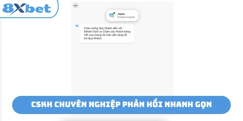 Chăm sóc khách hàng phản hồi nhanh gọn