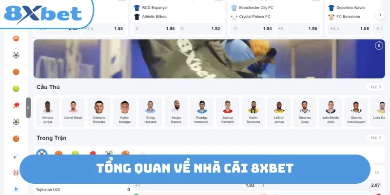 Đánh giá nhà cái 8xbet: Đánh giá theo hạng mục cụ thể hữu ích hơn một điểm số tổng